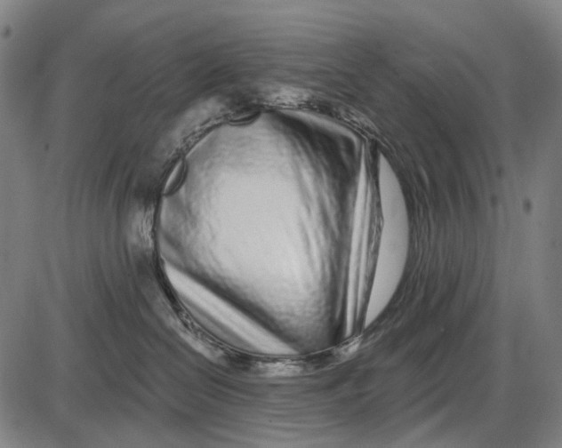 X0000085020286200703261228