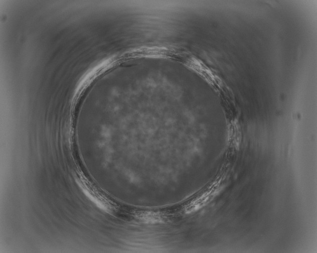 X0000085020293200703261228