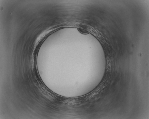 X0000085020294200703261228