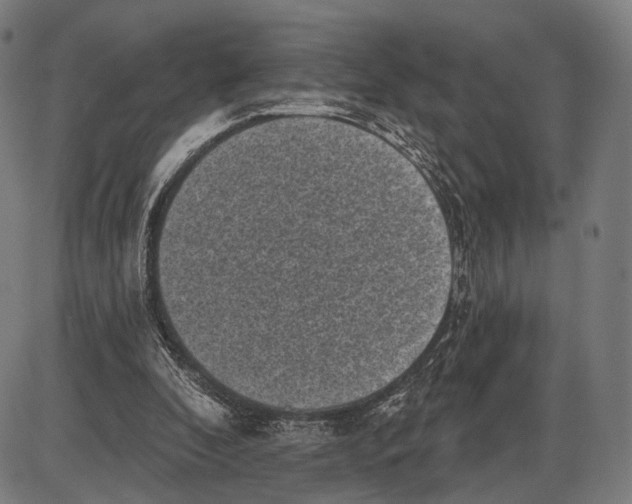 X0000085020296200703261228