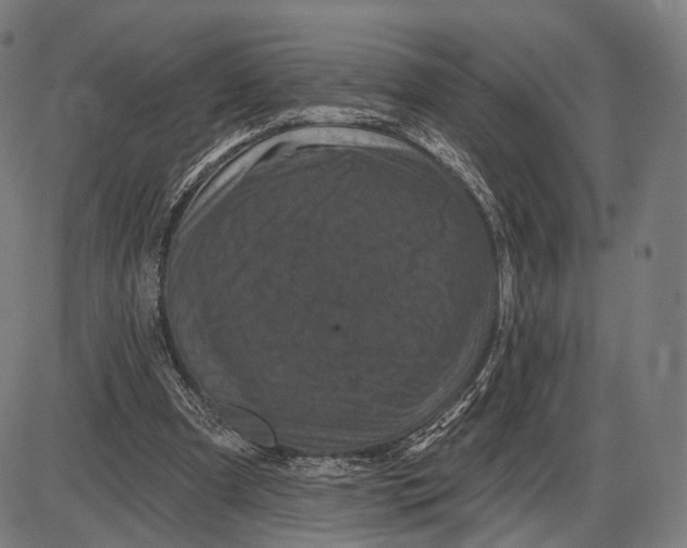 X0000085020297200703261228