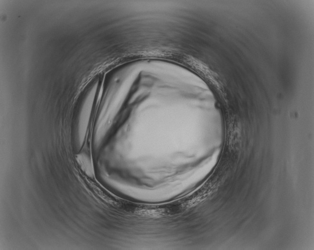 X0000085020299200703261227