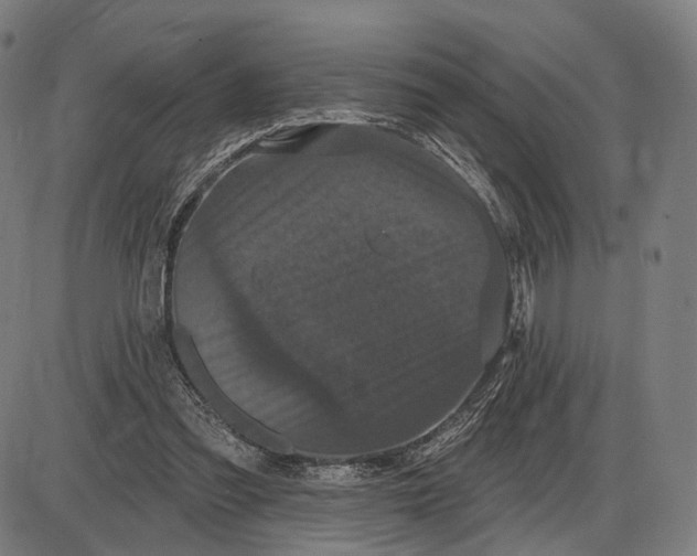 X0000085020301200703261227