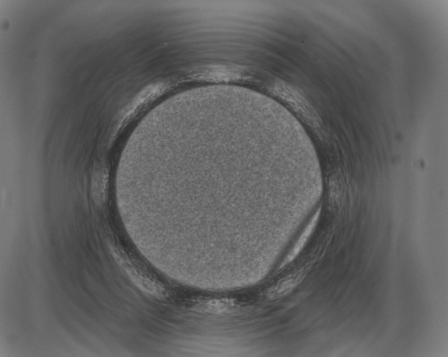 X0000085020304200703261227