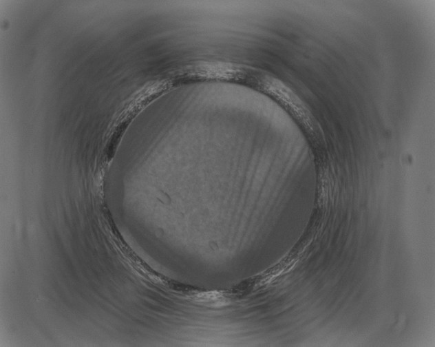 X0000085020309200703261227