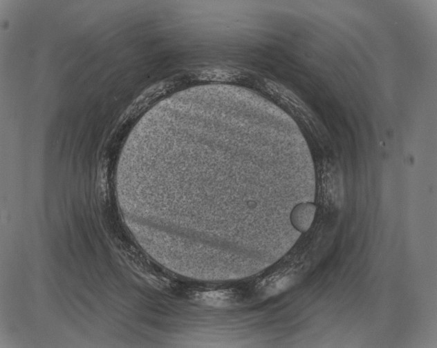 X0000085020312200703261227