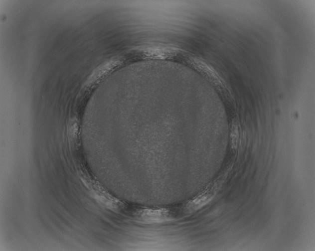 X0000085020314200703261227