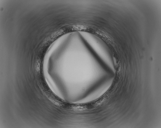 X0000085020315200703261227