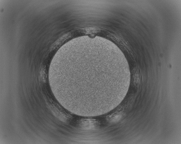 X0000085020316200703261227