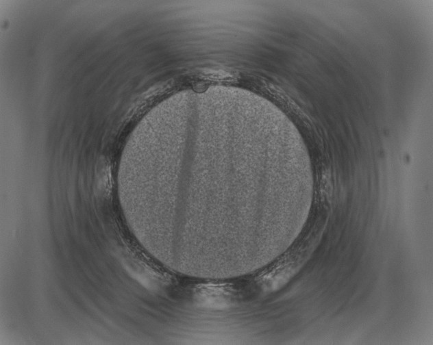 X0000085020320200703261227