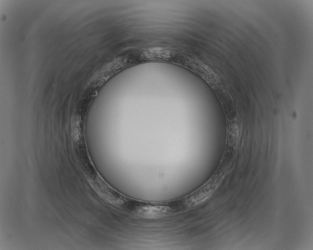 X0000085020323200703261227