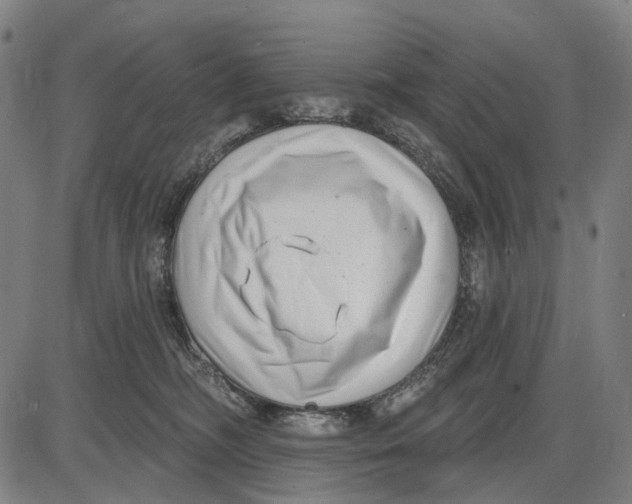 X0000085020326200703261227