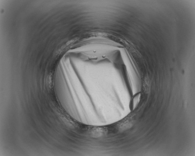 X0000085020330200703261227