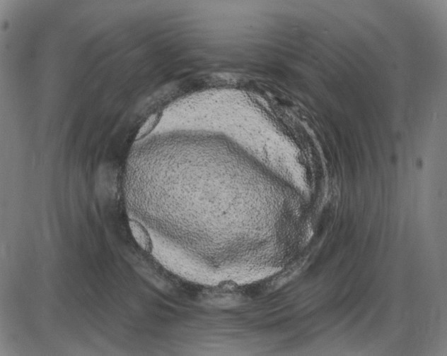 X0000085020331200703261227