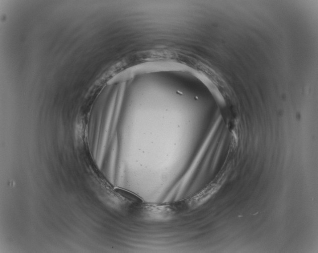X0000085020333200703261227
