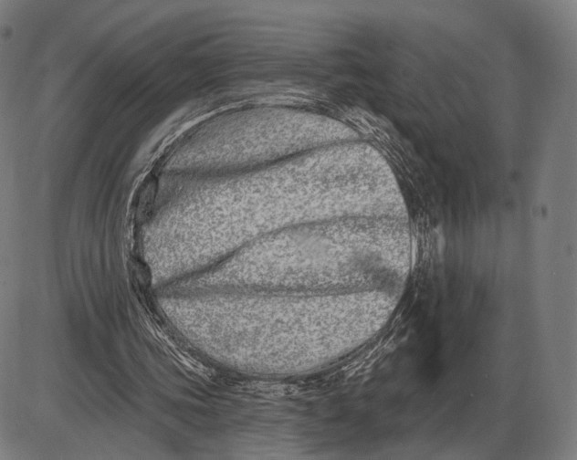 X0000085020339200703261226