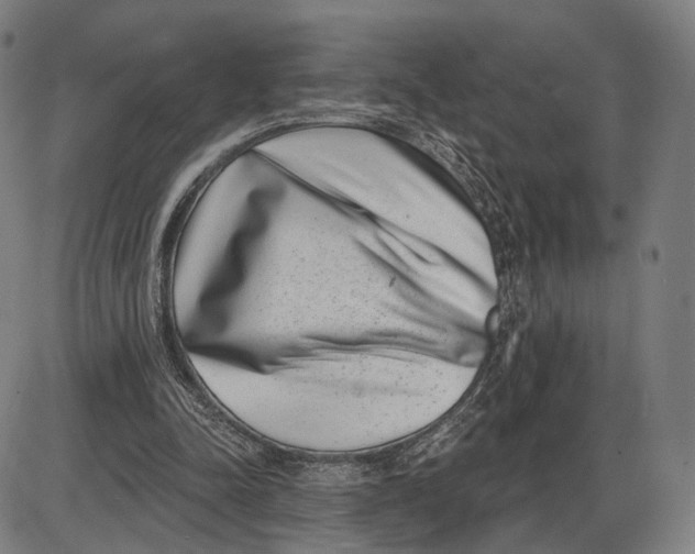 X0000085020342200703261226
