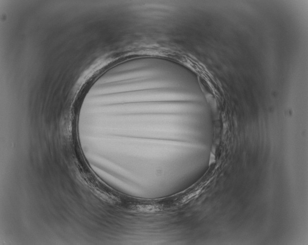 X0000085020344200703261226