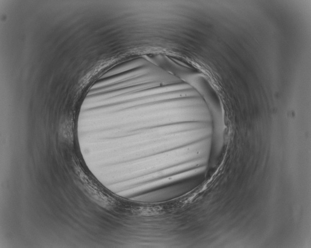 X0000085020345200703261226