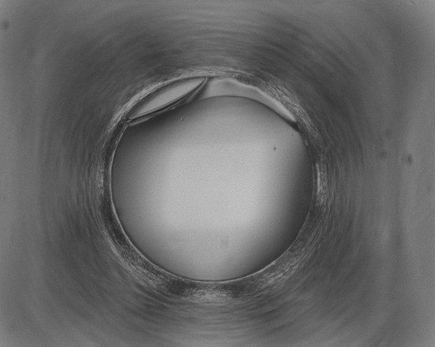 X0000085020348200703261226