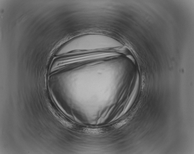 X0000085020349200703261226
