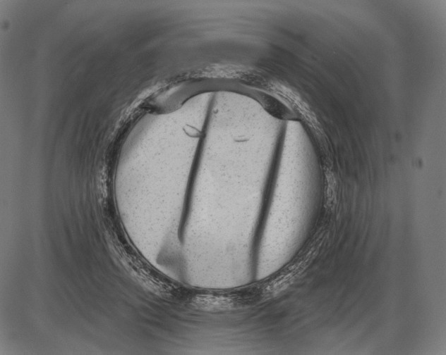 X0000085020354200703261226