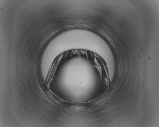 X0000085020356200703261226