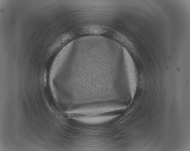 X0000085020358200703261226