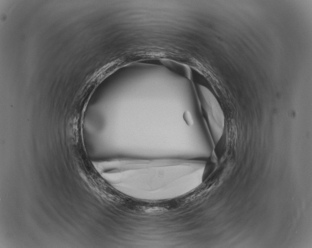 X0000085020360200703261226