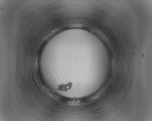 X0000085020362200703261226