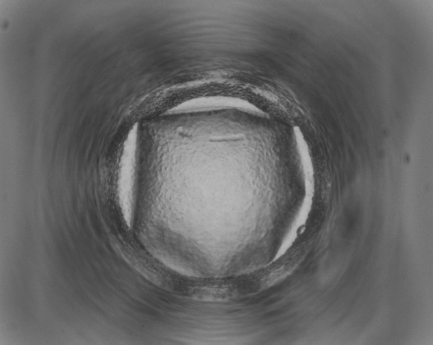 X0000085020366200703261227