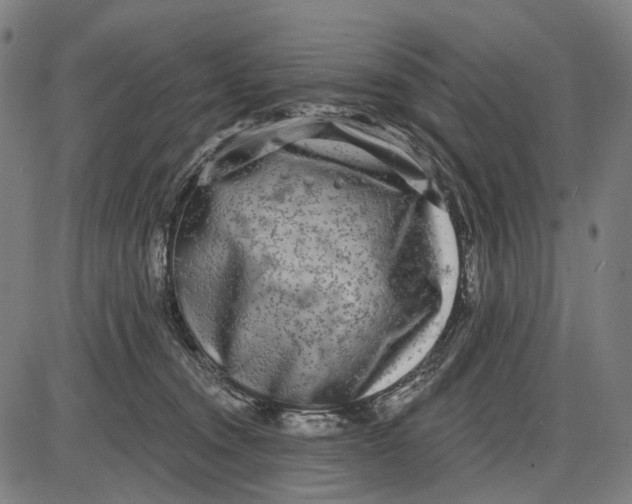 X0000085020372200703261227