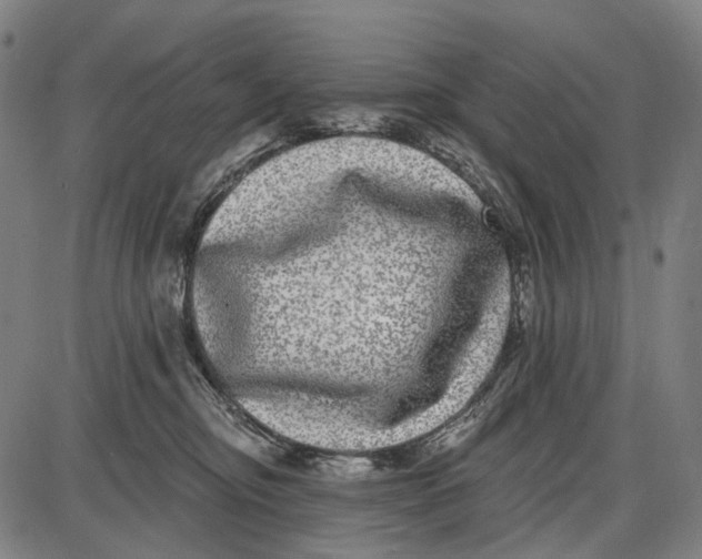 X0000085020374200703261227