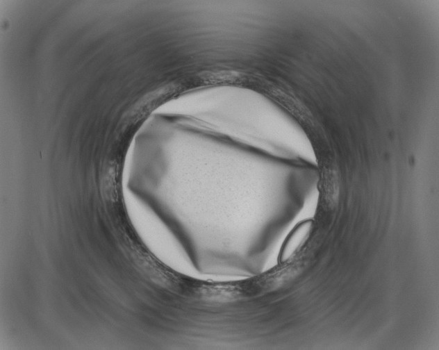 X0000085020378200703261227