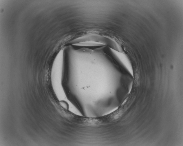 X0000085020379200703261227