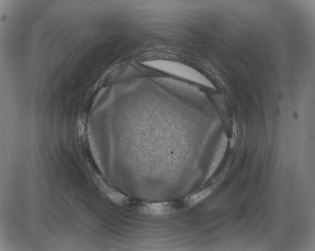 X0000085020382200703261227