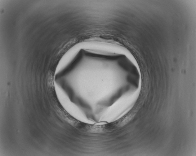 X0000085020384200703261227