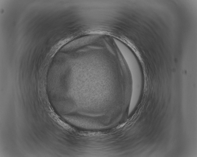 X0000085020385200703261226
