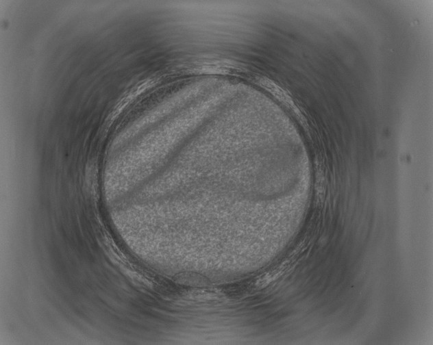 X0000085020386200703261226