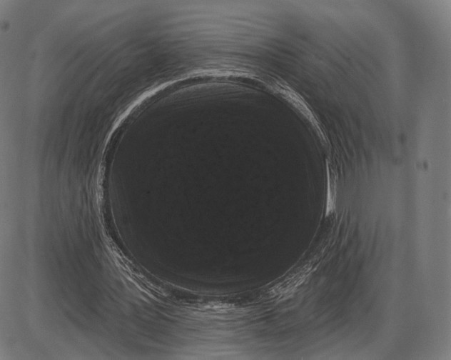 X0000085020387200703261226