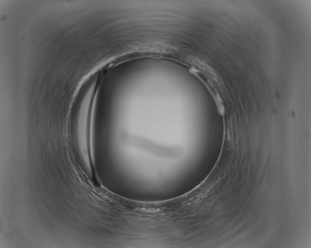 X0000085020388200703261226