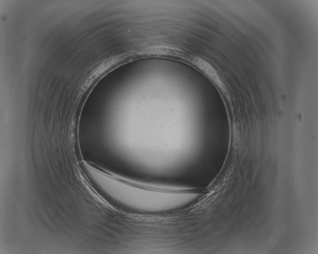 X0000085020389200703261226