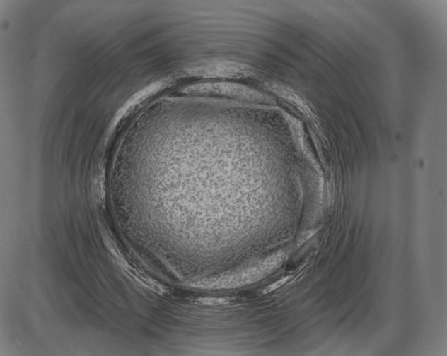 X0000085020392200703261226