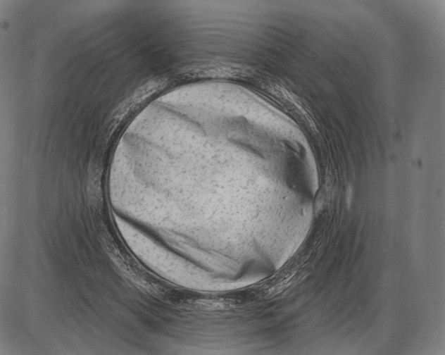 X0000085020394200703261226