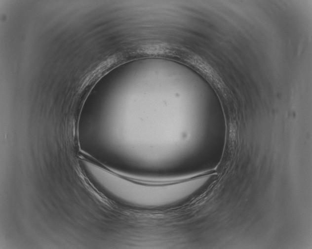 X0000085020397200703261226