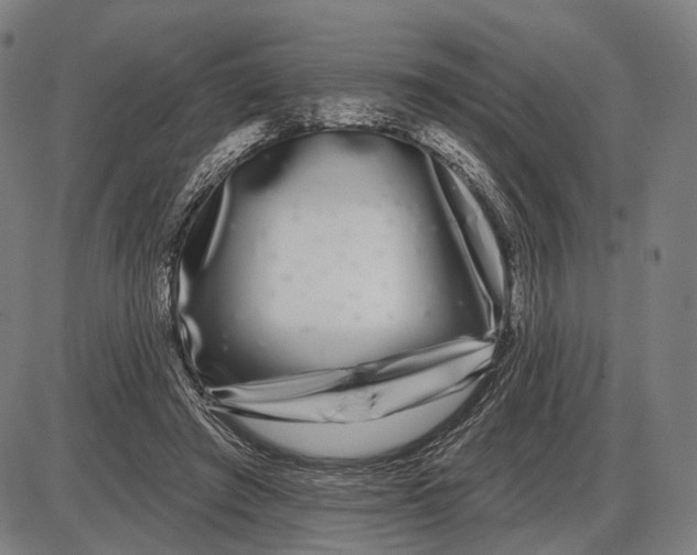 X0000085020401200703261226