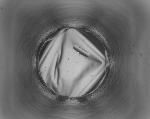 X0000085020403200703261226