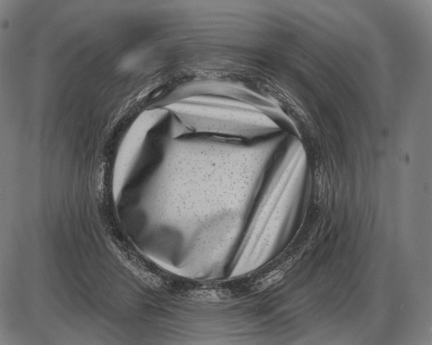X0000085020404200703261226