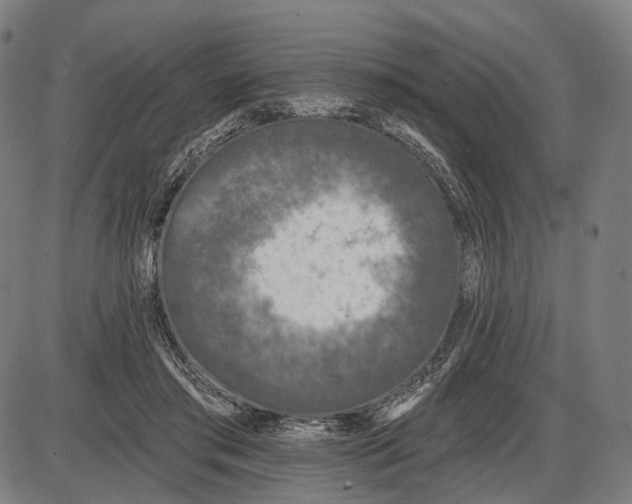 X0000085020405200703261226