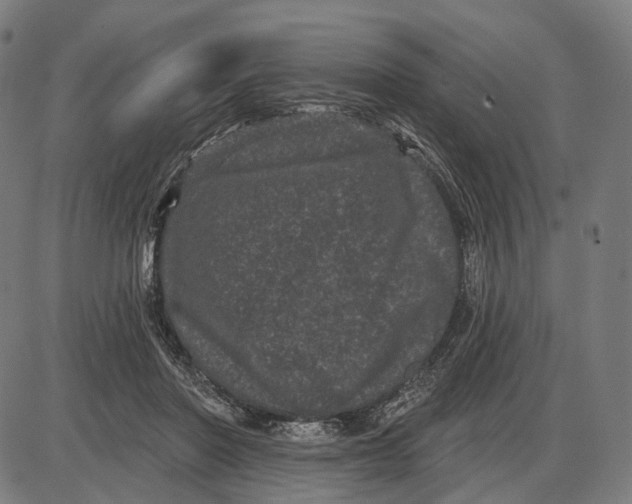 X0000085020406200703261226